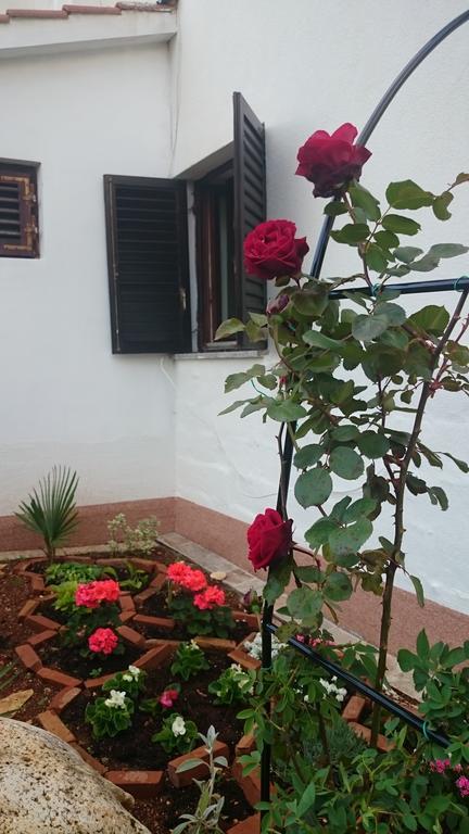 Apartment Devcic Poreč Zewnętrze zdjęcie