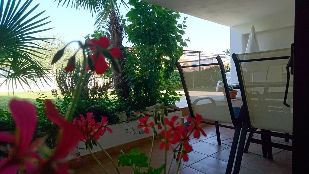 Apartment Devcic Poreč Zewnętrze zdjęcie