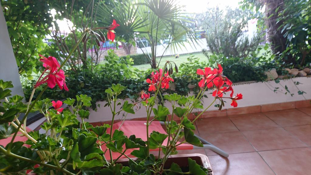 Apartment Devcic Poreč Zewnętrze zdjęcie